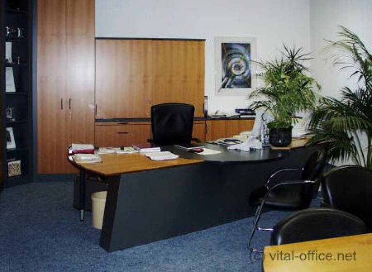 Tag Ergonomic Office Desk Vital Office