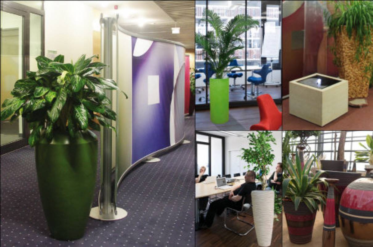 Image showcasing Decoration with plants and fountains: - Vital-Office